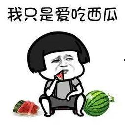 娱乐吃瓜的本质是啥啊,一场全民参与的狂欢盛宴